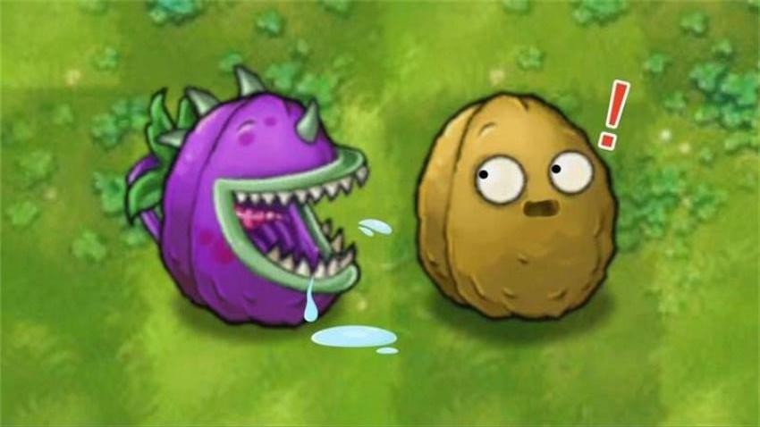 疯狂植物保卫战游戏v1.0 2