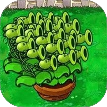 疯狂植物保卫战游戏 v1.0