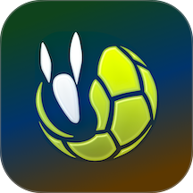 记足球免费版 v2.0.4