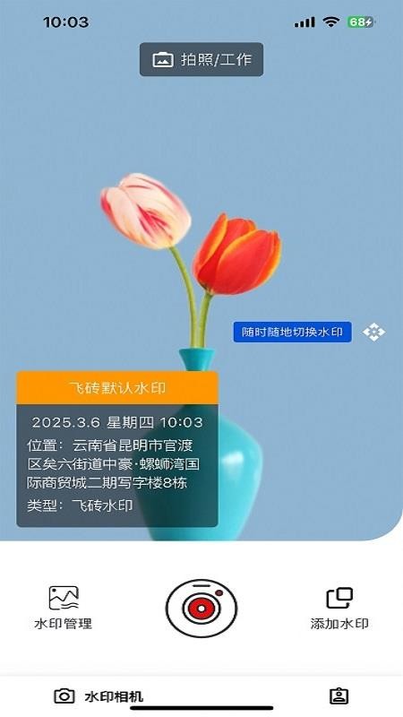 飞砖免费版v1.4.0 1