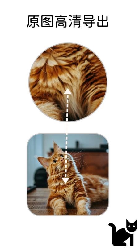 小猫边框最新版v1.0.2 1