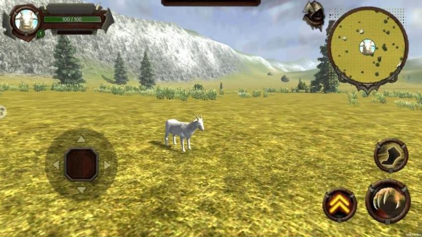 狂野动物模拟游戏v1.0 1