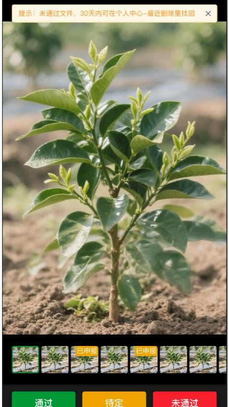 汇创农采通官网版v1.0.0(2)