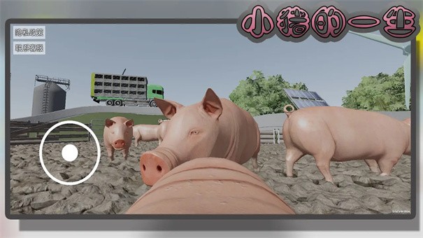 小猪一生模拟游戏v1.0 2