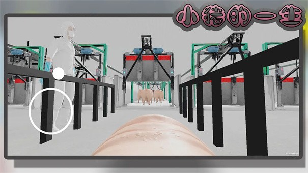 小猪一生模拟游戏v1.0 3