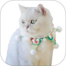 赚钱猫官网版 v1.0.0