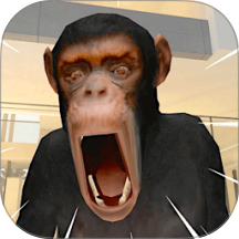 狒狒开放世界游戏 v1.0