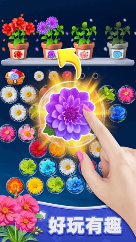 全民消消来解压游戏v1.0.1 4