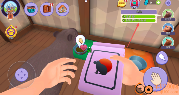 我的水豚小伙伴游戏