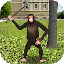 狒狒开放世界冒险游戏 v1.1