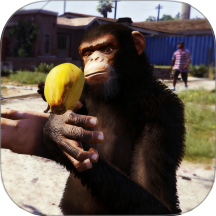 猿族进化手游 v1.0