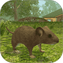 老鼠冒险模拟游戏 v1.0