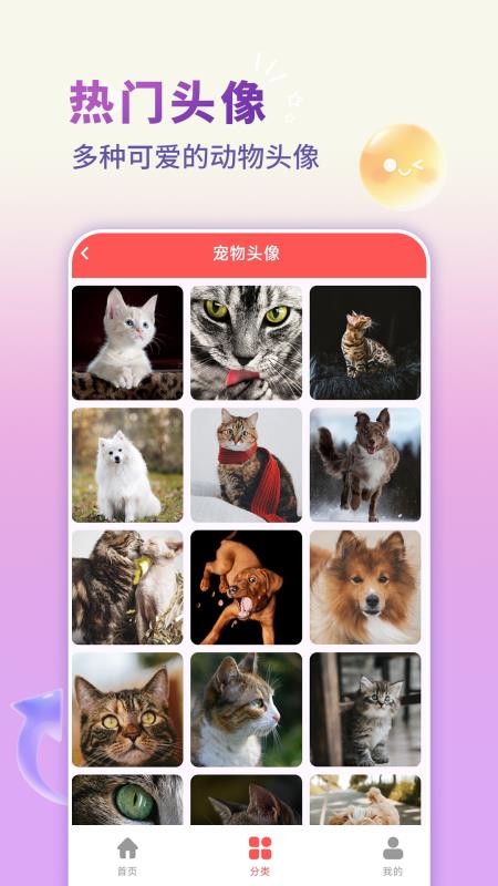 手机壁纸君免费版v1.0.0 1