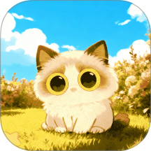 小猫咪圈手机版