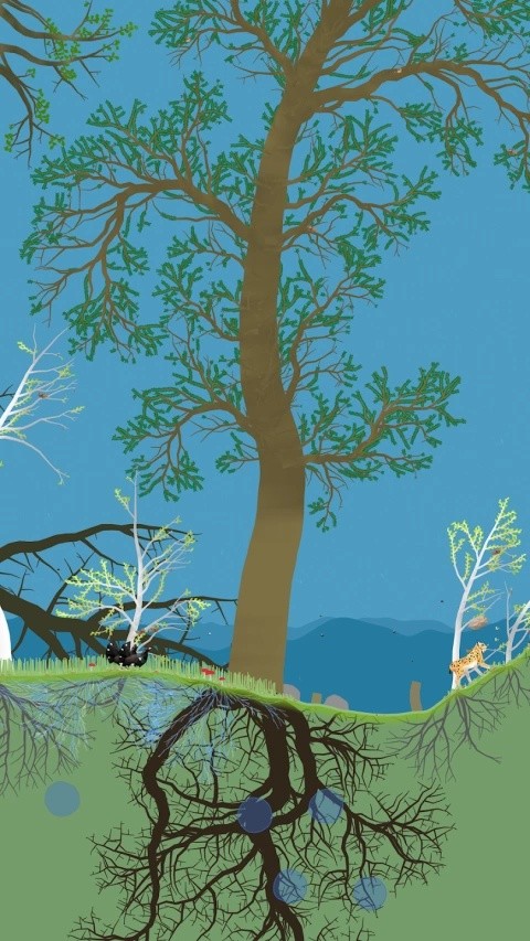 小松林游戏v1.0 2