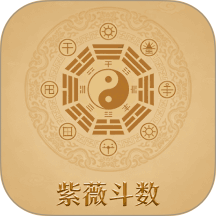 紫微斗数八字排盘官网版 v1.2